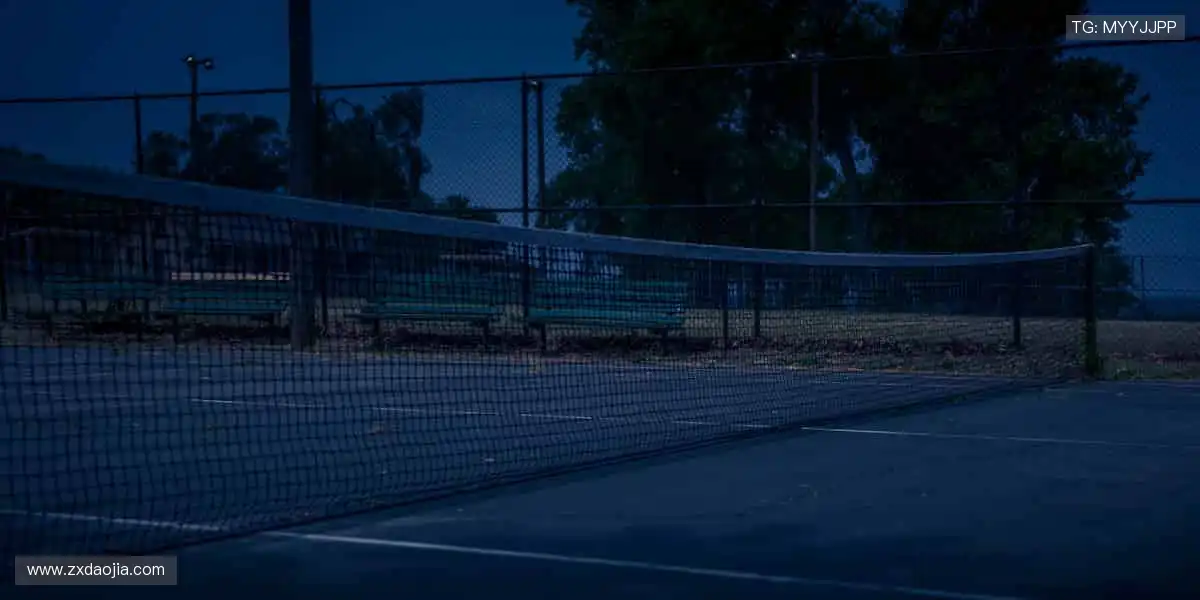 高清直播直击现场，互动狂欢点燃激情🏀